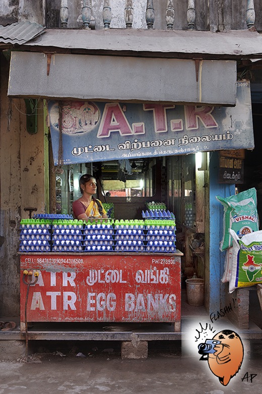 Boutique d'oeufs en Inde blog