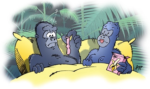 sida gorilles 2015 blog modif jungle