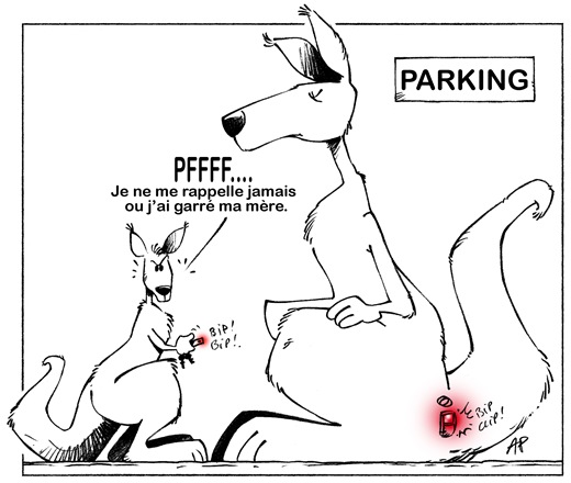 kangourou parking blog