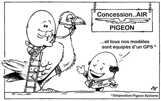 pigeon GPS blog