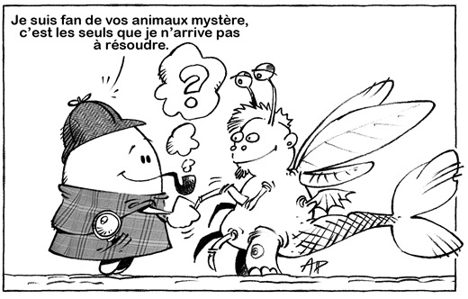animaux mystere blog