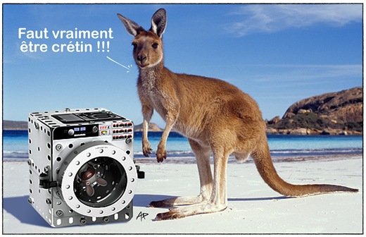 machine a laver australien lapin cretin blog