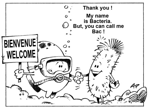 bacterie-arsenic blog